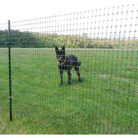 RANCH plastmasas žogs, 1,50 x 50 m, zaļš