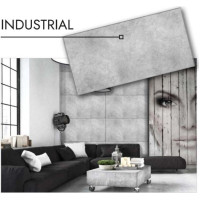 Dekoratīvais sienas apdares panelis INDUSTRIAL 500x1000mm