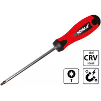 Skruvgriezis Torx T25x100mm, CrV