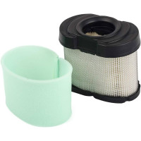 Gaisa filtrs B&S (19-12282)